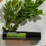 Krople olejku z drzewa herbacianego na liściu drzewa herbacianego