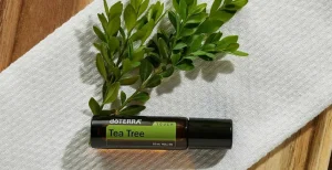 Krople olejku z drzewa herbacianego na liściu drzewa herbacianego